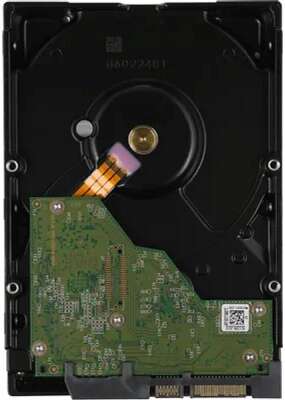 4TB WD Red Plus WD40EFPX 3.5" 5400 RPM 256MB SATA-III NAS Edition (замена WD40EFZX)