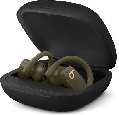 Наушники Beats Powerbeats Pro, серия Totally Wireless, Moss [MV712EE/A]