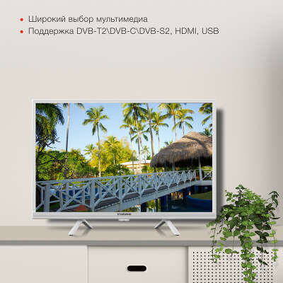 Телевизор 24" StarWind SW-LED24SG312 HD HDMIx2, USBx2 белый