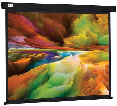 Экран Cactus Wallscreen CS-PSW-206x274 206x274 см 4:3 настенно-потолочный рулонный белый 