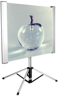 Экран Cactus 81