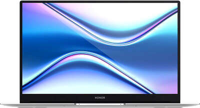Ноутбук Honor MagicBook X14 14" FHD i5-10210U/8/512 SSD/WF/BT/Cam/W10 (5301ABDQ)