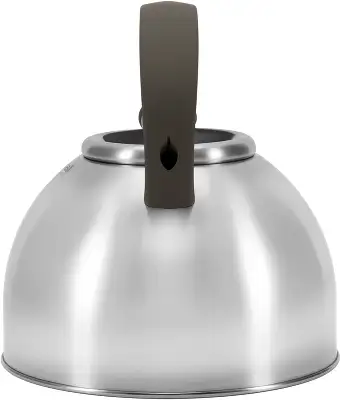 Чайник металлический Rondell Balance RDS-434 3л. стальной