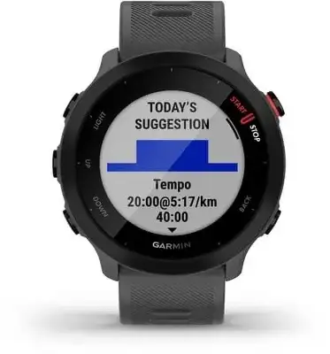 Смарт-часы Garmin Forerunner 55 42мм 1.04" LCD корп.серый рем.серый разм.брасл.:127-220мм (010-02562-13)