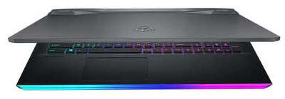 Ноутбук MSI GE76 Raider 10UH-441RU 17.3" FHD i7 10875H/64/2Tb SSD/GF RTX 3080 16G/WF/BT/Cam/W10