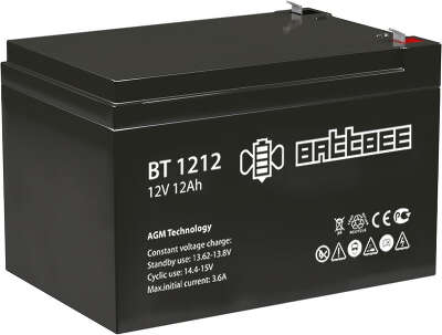 Аккумулятор BT 12-12 BattBee
