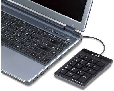 Цифровая клавиатура для ноутбука Genius NumPad i110, USB, black