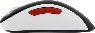 Мышь Zowie EC2 eVo CL