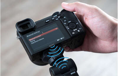 Рукоятка с миништативом и беспроводным пультом д.у. Sony GP-VPT2BT