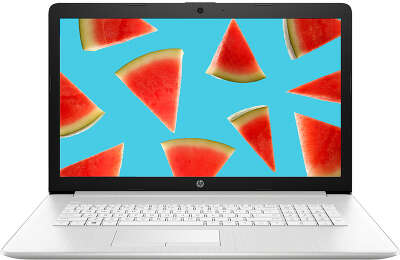 Ноутбук HP Pavilion 17-by2051ur 17.3 " FHD i3-10110U/8/512 SSD/Multi/WF/BT/Cam/DOS (2F1Y9EA)