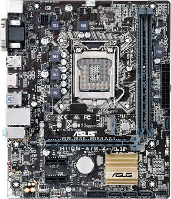 Материнская плата microATX LGA1151 ASUS H110M-A/M.2/CSM