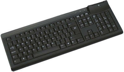 Клавиатура Acer CHICONY KUS-0967 USB Black
