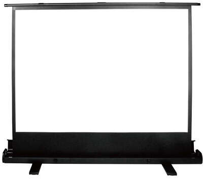 Экран Cactus 150x200см FloorExpert CS-PSFLE-200X150 4:3 напольный рулонный