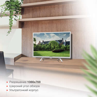 Телевизор 24" StarWind SW-LED24SG312 HD HDMIx2, USBx2 белый