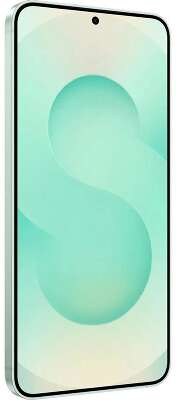 Смартфон Samsung Galaxy S25+ 12+512Gb мятный (SM-S936BLGCCAC)
