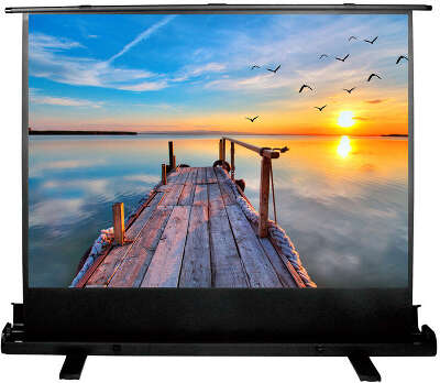 Экран Cactus 113x200см FloorExpert CS-PSFLE-200X113 16:9 напольный рулонный