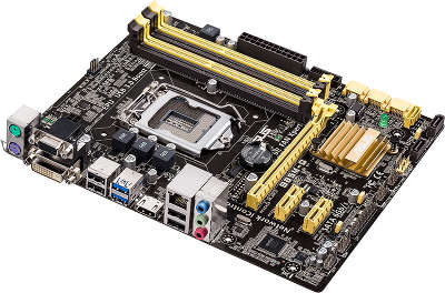Asus b85m on sale