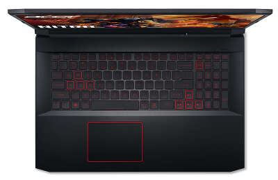 Ноутбук Acer Nitro 5 AN517-52-78J6 17.3" FHD i7-10750H/16/512 SSD/GF RTX 2060 6G/WF/BT/Cam/W10