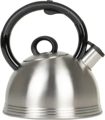 Чайник металлический Rondell Premiere RDS-237 2.4л. стальной