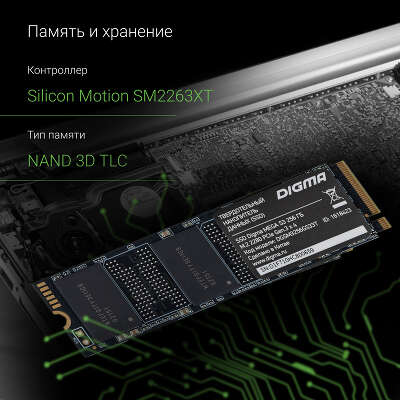 Твердотельный накопитель M.2 NVMe 256Gb Digma MEGA S3 [DGSM3256GS33T] (SSD)