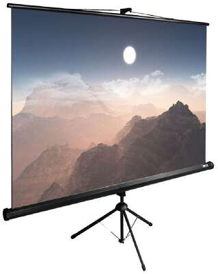 Экран Cactus TriExpert CS-PSTE-180x180-BK Экран 180x180 см 1:1 напольный рулонный