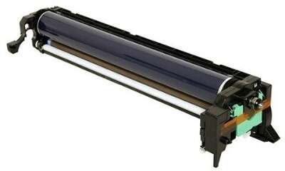 Ricoh D0892251