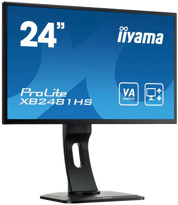 Монитор 24" Iiyama XB2481HS-B1 черный VA