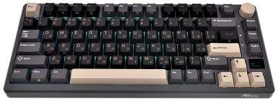 Клавиатура Royal Kludge RK-M75 Phantom (USB/2.4 GHz/Bluetоoth, RGB, Hot Swap, Brown switch)