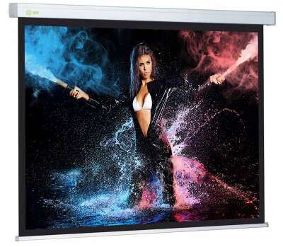 Экран Cactus 168x299см Wallscreen CS-PSW-168x299 16:9 настенно-потолочный рулонный белый