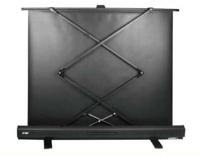 Экран Cactus 113x200см FloorExpert CS-PSFLE-200X113 16:9 напольный рулонный