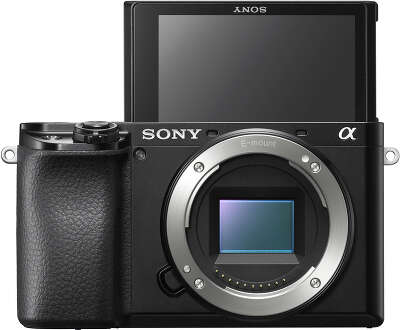 Цифровая фотокамера Sony Alpha 6100 Black Body