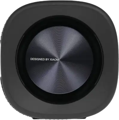Акустическая система S29D Xiaomi Sound Outdoor 30W Black, 30W (QBH4261GL)