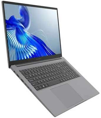 Ноутбук Maibenben P725 17.3" FHD IPS i5-12450H/16/512 SSD/W11