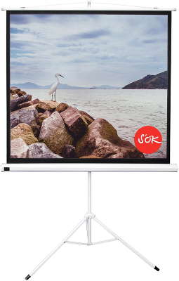 Экран напольный Sakura Cinema 220x220 SCPST-220x220