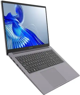 Ноутбук Maibenben P725 Core i5 12450H 16Gb SSD512Gb Intel UHD Graphics 17.3" IPS FHD (1920x1080) Windows 11 Home grey WiFi BT Cam 6065mAh (P7251SF0HGRE0)