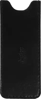 Внешний SSD 1Tb [NT01ZX10-001T-32BK] Netac ZX10