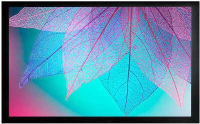 Экран на раме Cactus 124x220см FrameExpert CS-PSFRE-220X124 16:9 настенный натяжной