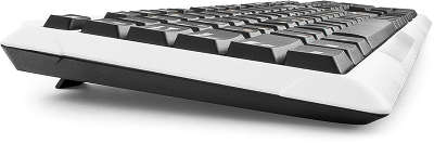 Клавиатура Гарнизон GK-110L, подсветка, USB, чёрно-белая
