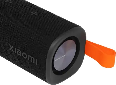 Акустическая система S29D Xiaomi Sound Outdoor 30W Black, 30W (QBH4261GL)