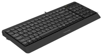 Клавиатура A4Tech Fstyler FK15 черный USB (FK15 BLACK)