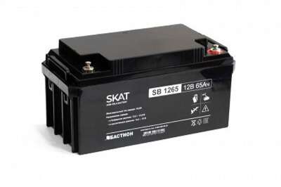 БАСТИОН SKAT SB 1265 АКБ свинцово-кислотная тип AGM 12V 65Ач I зар.19,5А клеммы под болт М6, гарантия - 18 месяцев (2541)