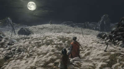 Игра Sekiro: Shadows Die Twice [PS4, русские субтитры]