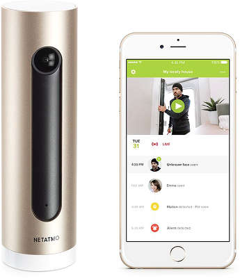 Домашняя охранная камера Netatmo Welcome Camera [NSC01-EU]