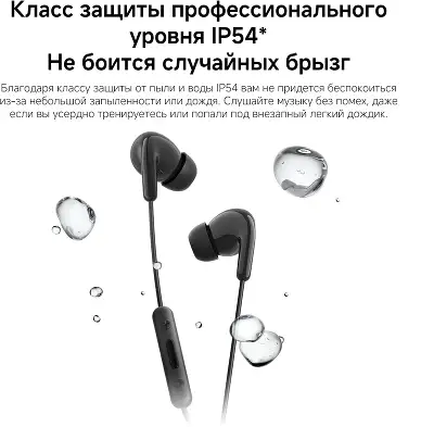 Наушники Xiaomi Type-C Earphones_черные