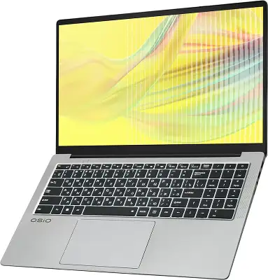 Ноутбук OSIO FocusLine F160a-013